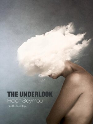 cover image of The Underlook